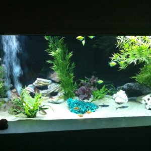 plants added to 90