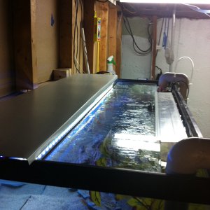 custom DIY led and glass canopy.
i cut the sides down to give it more of a 'slim' look