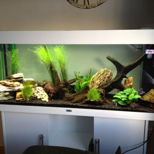 Changed the left, added more rocks and right missing the Vallisneria thanks to flourish excel - new Valls ordered