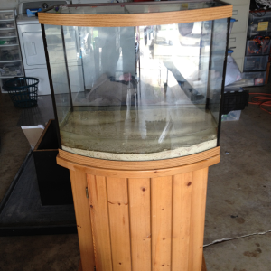 Got offered a free salt water tank from a real-estate office that couldn't keep anytime alive