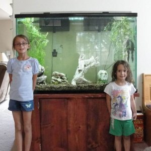My girls and their Cichlid tank.