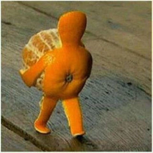 Sometimes you just gotta pick yourself up and carry on!