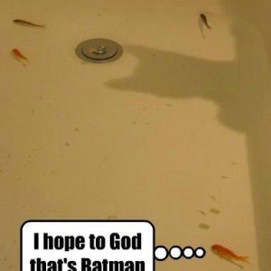 I think the fishy is in trouble!