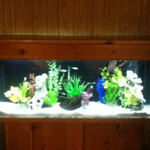 Another fts