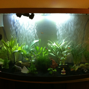 Tank with led light view