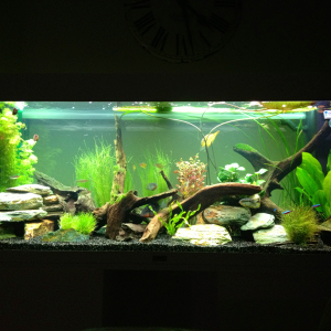 Clean and change around for tank