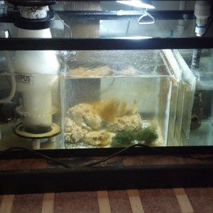 Finished Sump