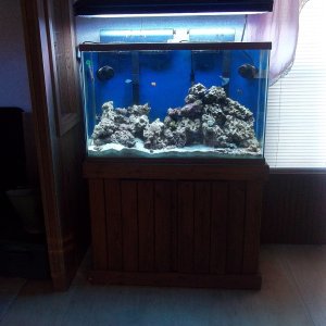 45 gallon  This aquarium was first a FW set up.  We found a good home for the fish and upgraded our 10 gallon FOWLR to this to begin this reef set up.