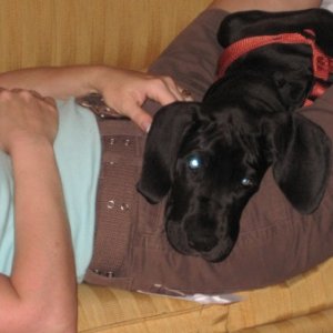 Me with Apollo. He's 3 month old in this pic (May 09)