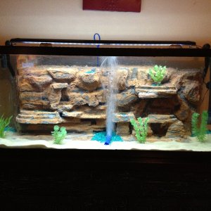 my tank is ready for fish!