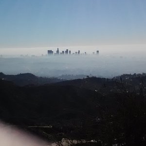 L.A from above the Hollywood sign