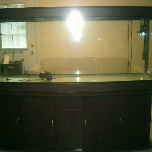 Front of 180 Gallon bow front.