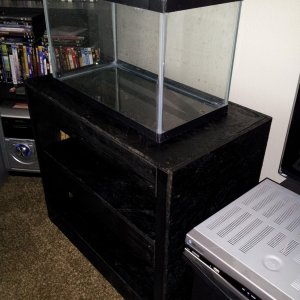 Angled view: Tank Stand after black satin spray paint with empty 10 gallon tank.