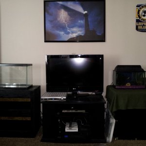 Both 10g and 5g tanks besides the tv.