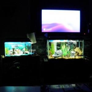 10gal with air stone, 30gal with motorcycle airator, 46 sony bravia :P