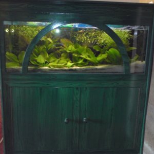 This is a better photo of the unit, this was taken before i thinned out the plants and re-scaped the tank. I've also painted the unit since this was t