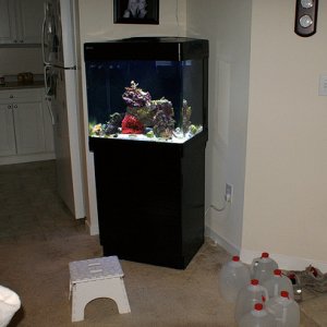 This is my Red Sea Max 130D, we are getting ready for our weekly water change, we change  between 8-10 gallons.