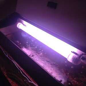 Interpet - convertagear Aquarium Lighting Starter Unit

Fitted with tube