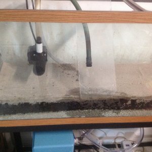 image: 5 I have added my sand layer and installed the chiller. My setup is in my garage here in Florida where it gets pretty hot, so by installing a c