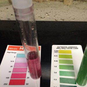 First positive test results