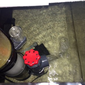 50g Sump section #1