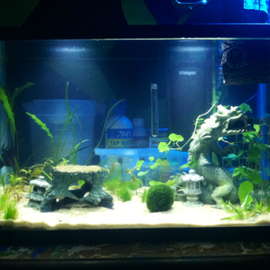 12.4.2012 - added dwarf hair grass, marimo moss ball, and new decorations :)