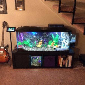 55 gal tank with a 10 gal quarantine tank, a mirror on the side so you dont have to look under the stairs, and a tablet to show what is in my tank and