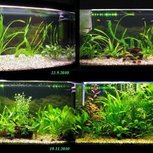 Cycling 100l in 4 months