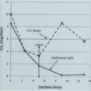 CO2 level comparison between continuous lighting and siesta lighting schedule (5 hours on, 4 hours off, followed by 5 hours on again).  Chart sourced 