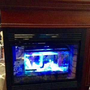 This is the Penninsula fireplace in which I removed the inner workings and repurposed the Penninsula with my 10 gal. GloFish tank. I don't have fish y