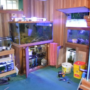 fishroom #1 before