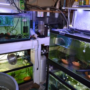 fish room #2 
Command center