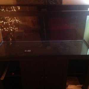 My Christmas present upgrading to 75 gallons can't wait to get started