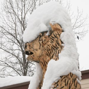 A carved bear wears a mohawk last winter