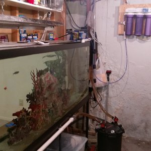 carbon block drip system connected to tank