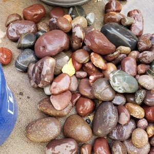 20191020 Mexico beach stones