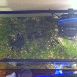 top of the tank (canopy lol)