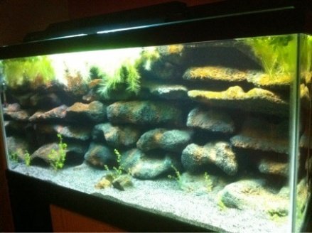 fish tank 3d background - 3d Gun Image: 3d Aquarium Backgrounds