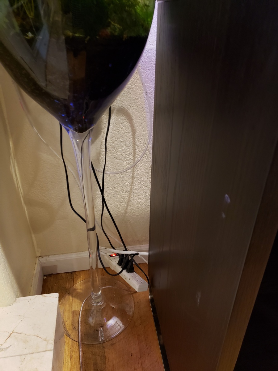 20190909 Skinny wine glass tank stem