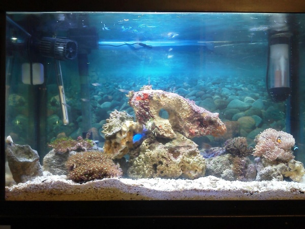 A current picture of the SW mixed tank