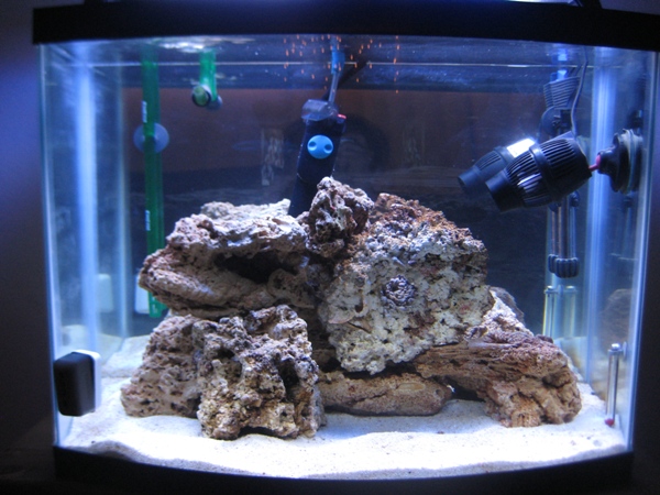 After the 1st PWC, and redone the aquascaping plus more rocks