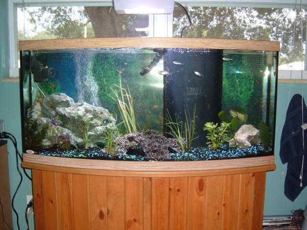 An up front view of the tank.