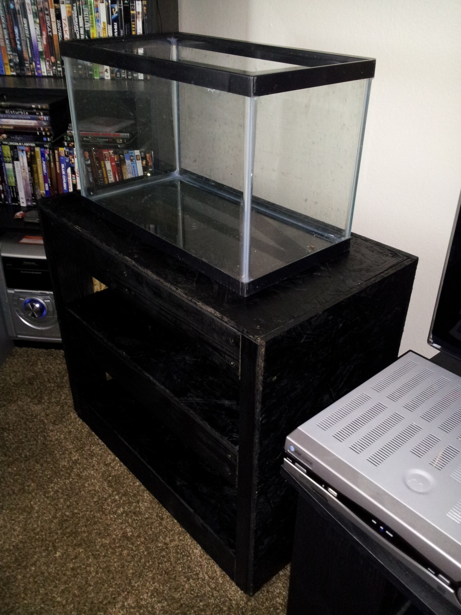 Angled view: Tank Stand after black satin spray paint with empty 10 gallon tank.