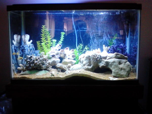 aquarium front view