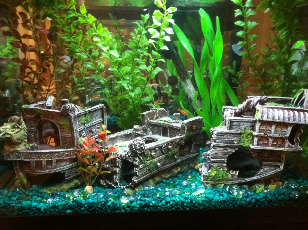 aquarium smaller
