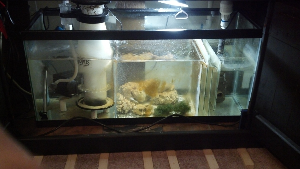 Finished Sump