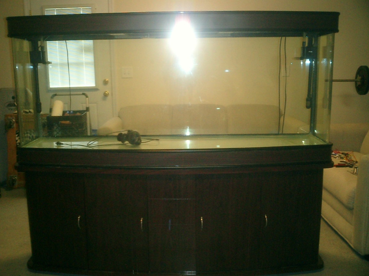 Front of 180 Gallon bow front.
