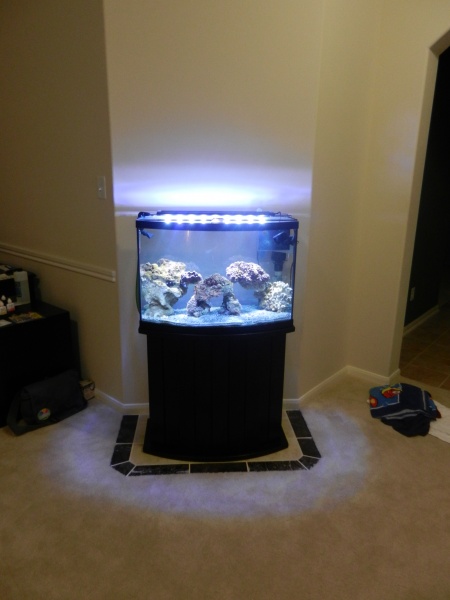 Full view of the tank and stand. We layed tile down so it'd be more level than carpet.