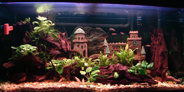 Here is my nonstandard 50 gallon in all its glory.