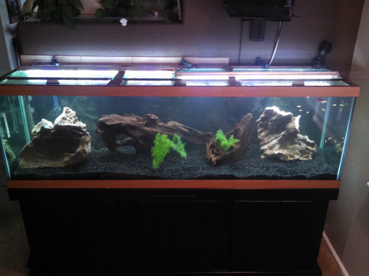 Here is the first rendition of my hard scape.